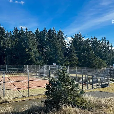 Between And Forest *