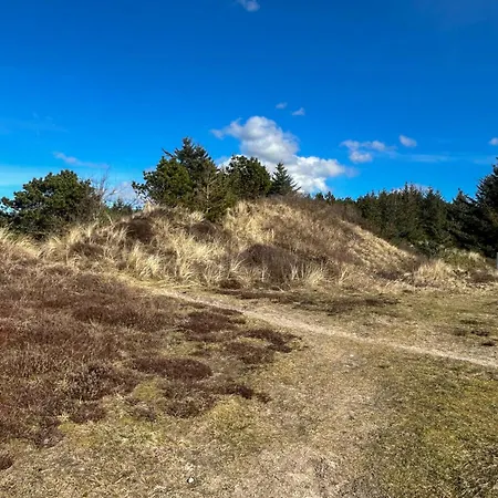 Nyaraló Between And Forest